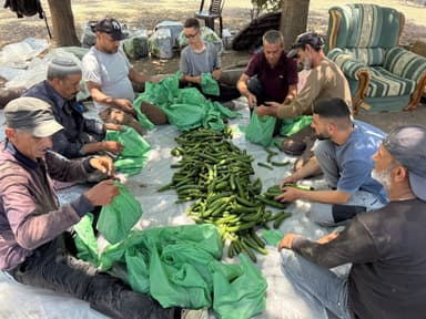 Community Campaign Supporting Displaced Families and Students