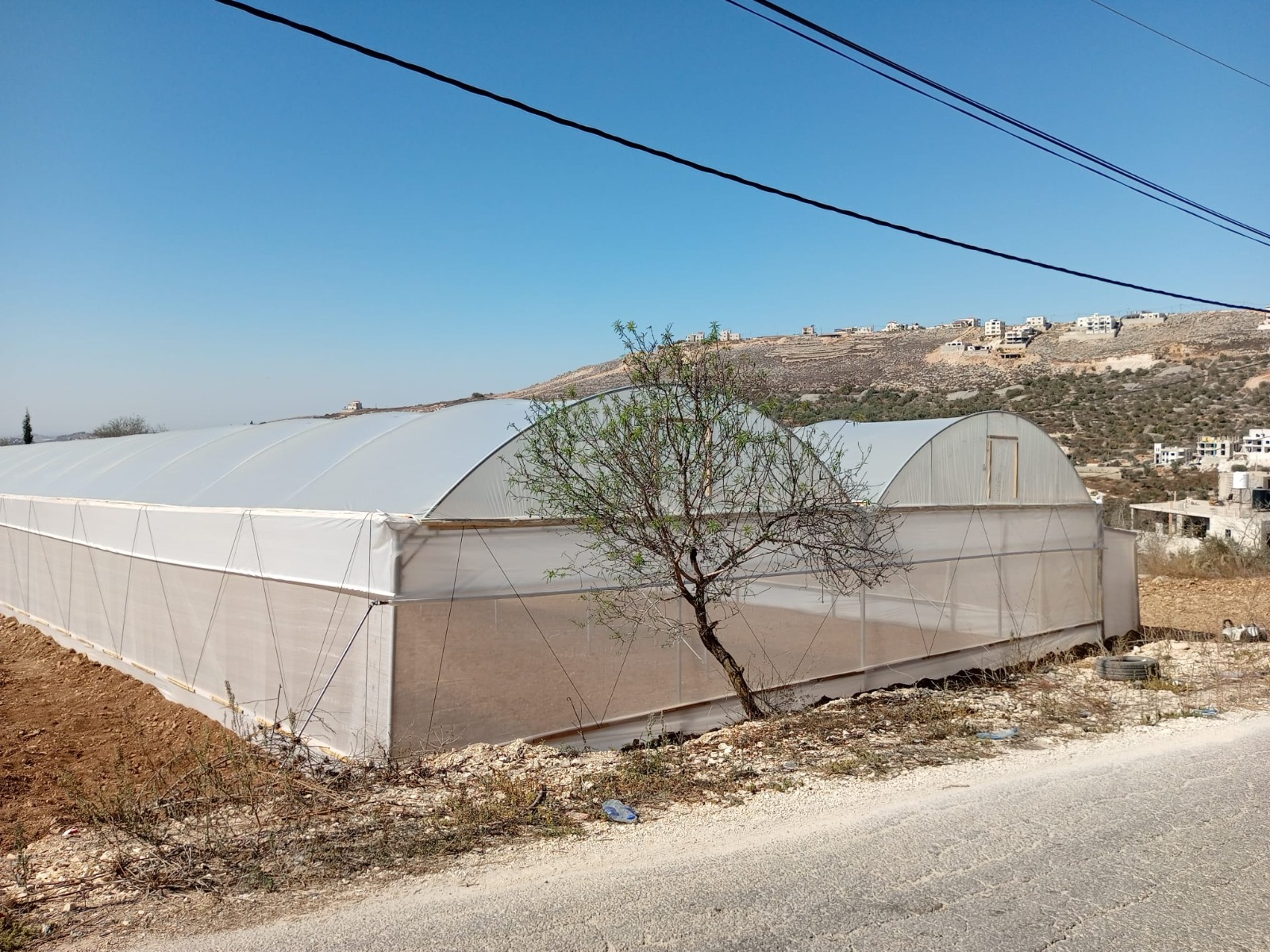 Greenhouses