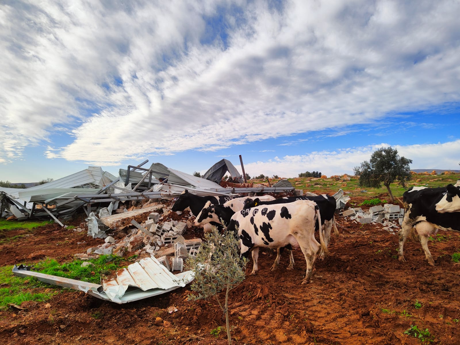 Insuring against losses